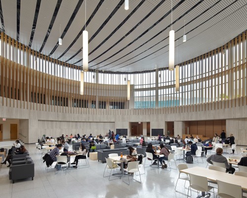 Carol Phillips co-presenting: Anatomy of a Fast-Track DB