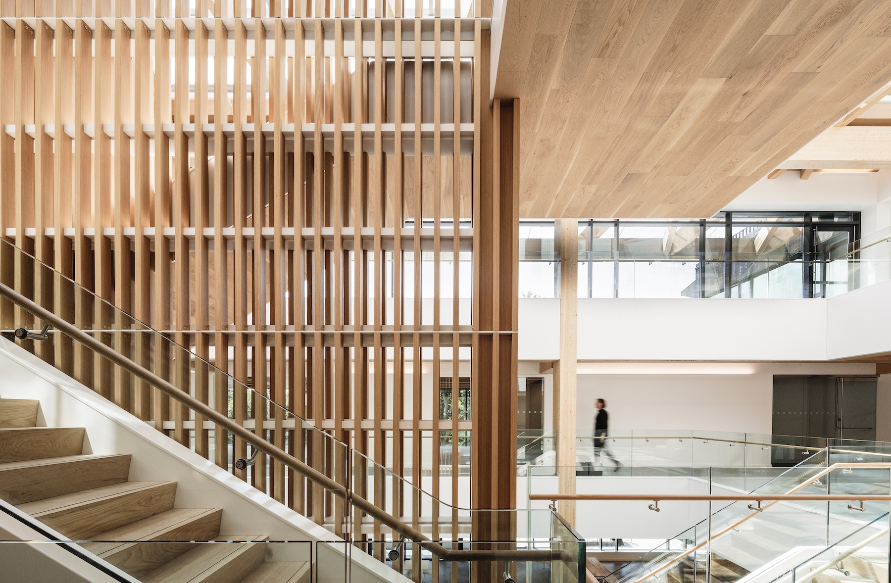 mass timber Moriyama Teshima architect architecture construction Toronto Ontario Canada wood OSSTF