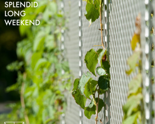 Office Closure – Holiday Weekend