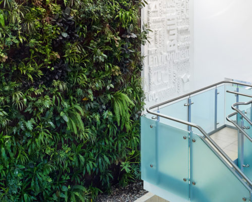 World Environment Day