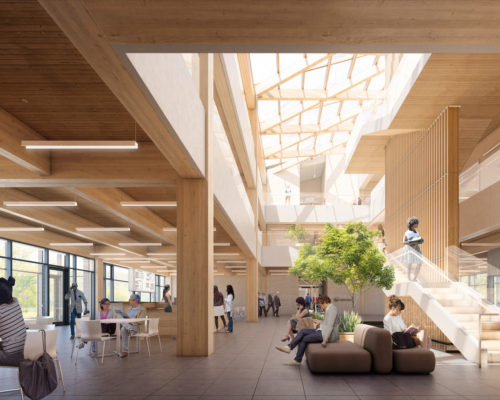 Carol Phillips Featured in The Kit – Mass Timber Sustainability