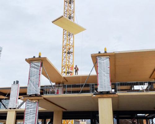 CLT Panel Install at Limberlost Place