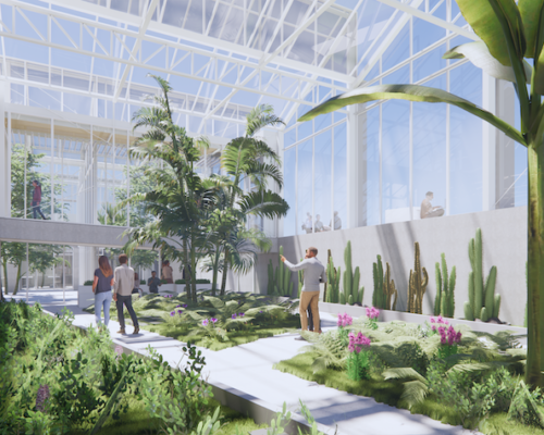 International Day of Education