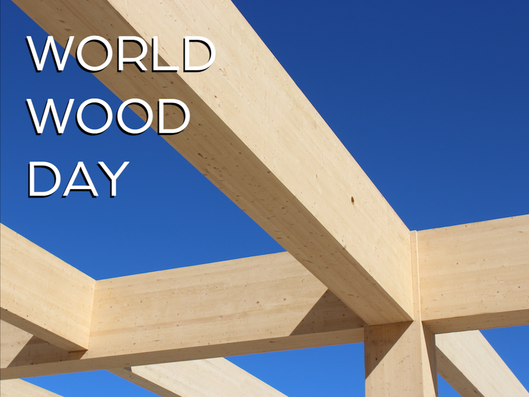 World Wood Day Moriyama Teshima Architects