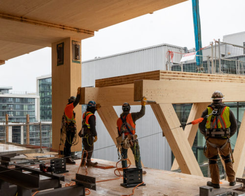 Limberlost Place Raised Pedway Installation Photos
