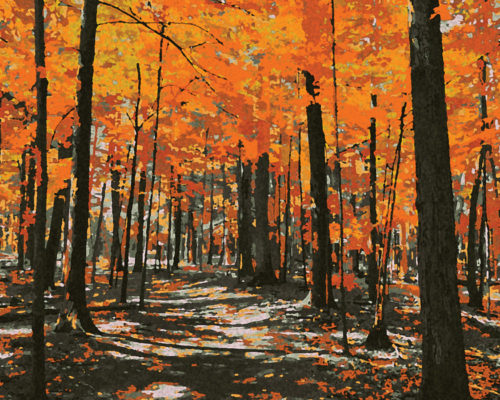 National Day for Truth and Reconciliation