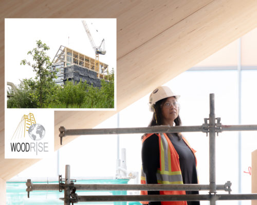 Carol Presenting at 2023 Woodrise Congress