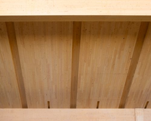 CBC Article – “Is Mass Timber the Next Big Thing in Cheaper, Greener Construction? More Provinces are Saying Yes”